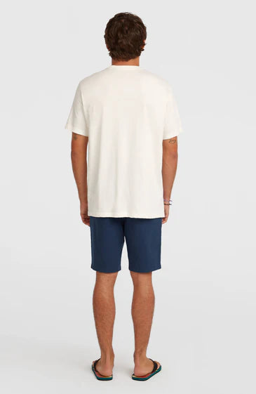 O'Neill O'Riginals Walk Shorts English Evening