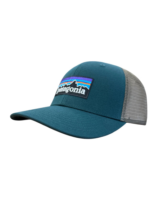 Patagonia P-6 Logo Trucker Hat Cascade Green