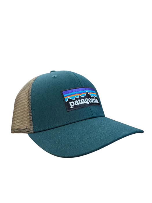 Patagonia P-6 Logo Trucker Hat Cascade Green