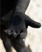 Rip Curl Flashbomb 3/2mm 5 Finger Glove  at boardworx