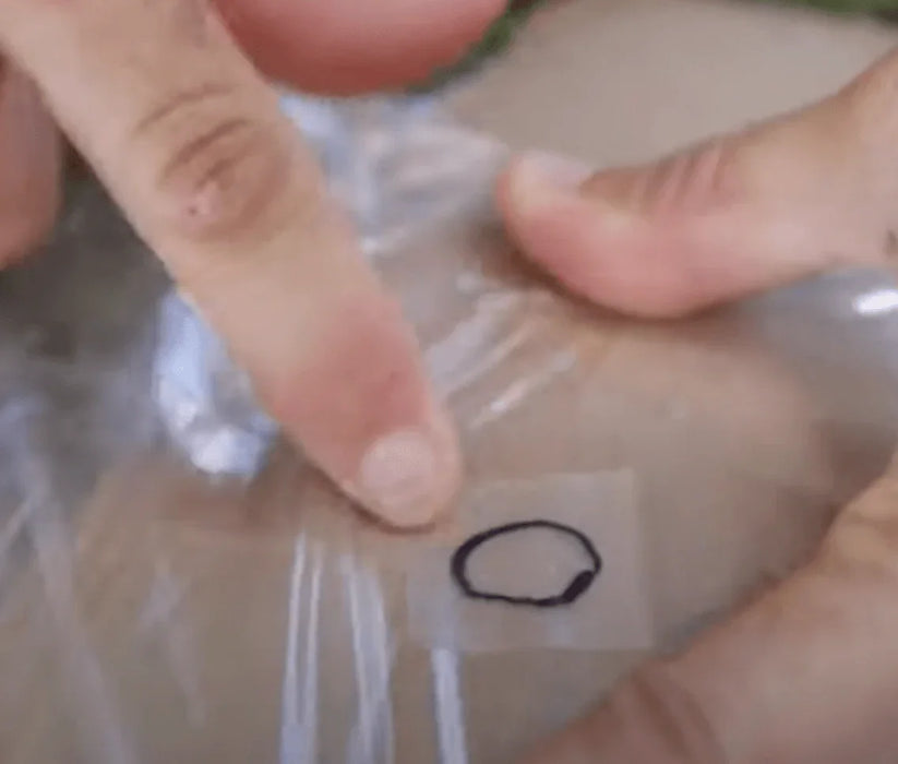 Clear kitesurfing bladder repair patch being applied to a surface by hand