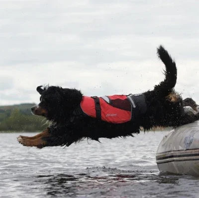 Dog wearing red Crewsaver buoyancy aid jumping into water from inflatable boat