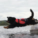 Dog wearing red Crewsaver buoyancy aid jumping into water from inflatable boat