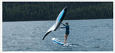 Person windsurfing on water with ENSIS wing and paddleboard SUP