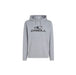 O'Neill Logo Hoodie Silver Melee