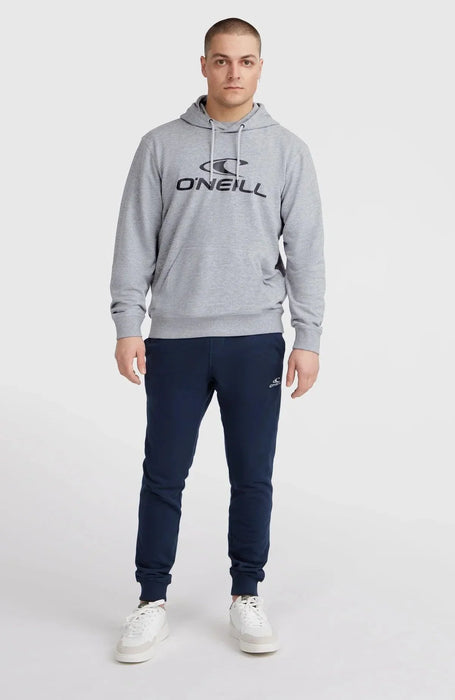 O'Neill Logo Hoodie Silver Melee