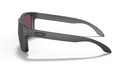 Oakley Holbrook Steel / Prizm Daily Polarized lenses - Boardworx